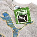 2-ка "PUMA" спортивный костюм