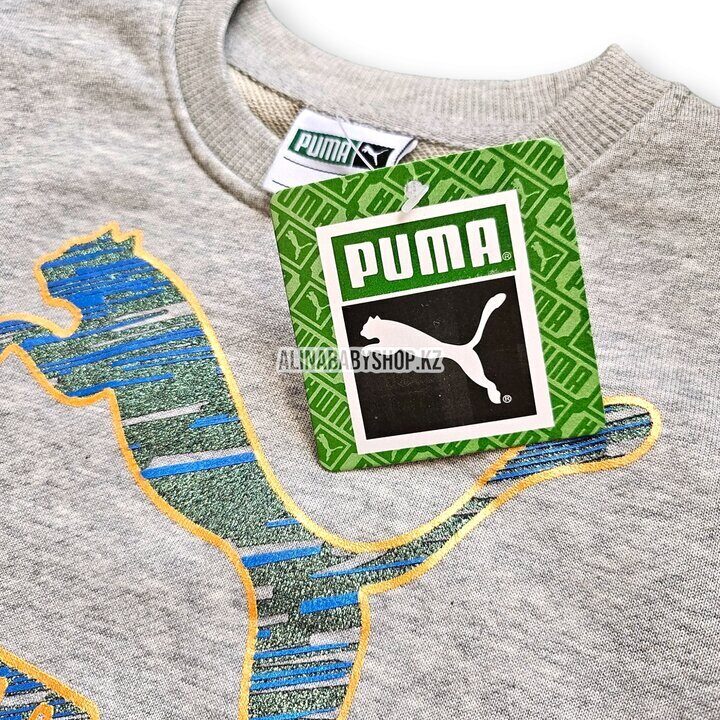 2-ка "PUMA" спортивный костюм