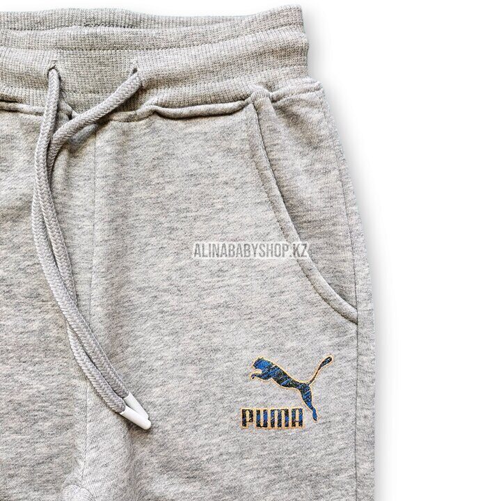 2-ка "PUMA" спортивный костюм